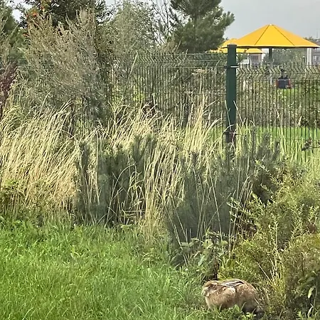Modern Family In A Beautiful Park Area Апартаменты Таллин